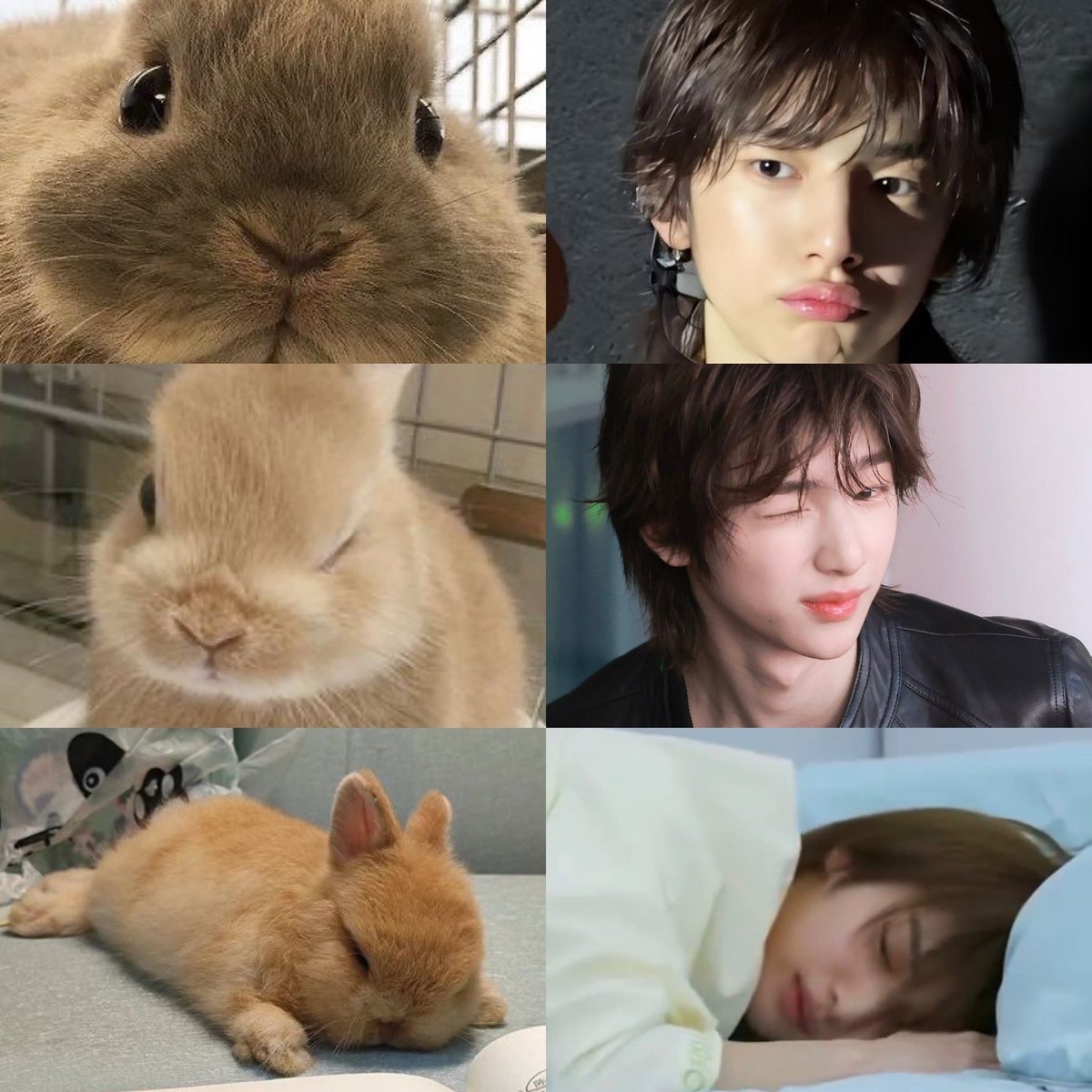 worktoobe's tweet photo. ⠀  ⠀     (\__/)
              (•ㅅ•)  ⋆. 𐙚 ˚𝓶𝔂  𝓵𝓲𝓽𝓽𝓵𝓮  𝓳𝓳𝓾 ☘︎ ˖
     ＿ノヽ ノ＼＿   
`/　`/ ⌒Ｙ⌒ Ｙ  ヽ     
( 　(三ヽ人　 /　  |
|      ﾉ⌒＼ ￣￣ヽノ
ヽ＿＿＿＞､＿／  
        ｜( 王 ﾉ〈   
        /ﾐ`ー―彡\  
      / ╰    ╯  \ / https://t.co/WhCUmA6mnG