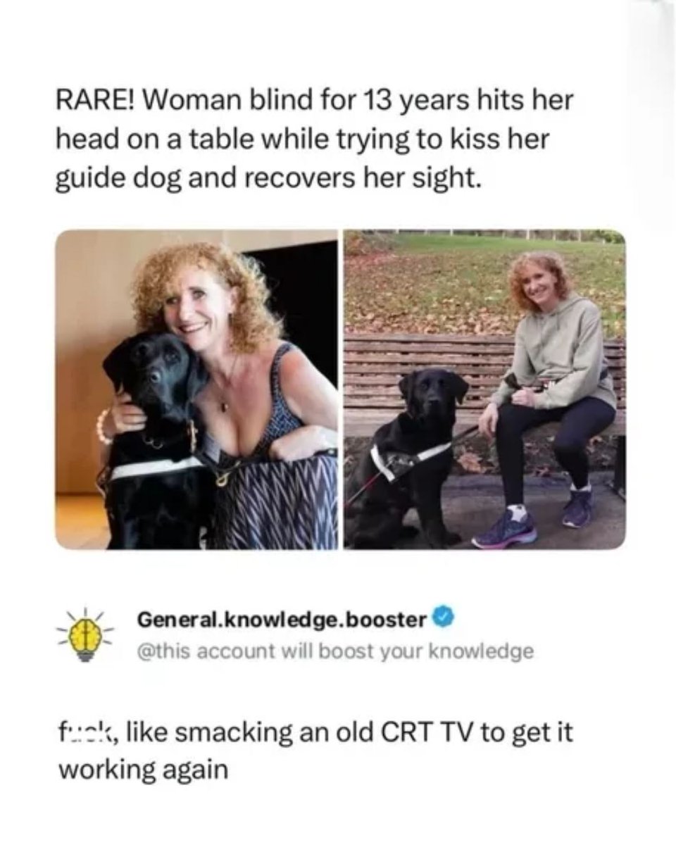 Memedroid's tweet photo. Very rare!
#guidedog #memes #blind #miracle #funny https://t.co/VPEE5yc8kA
