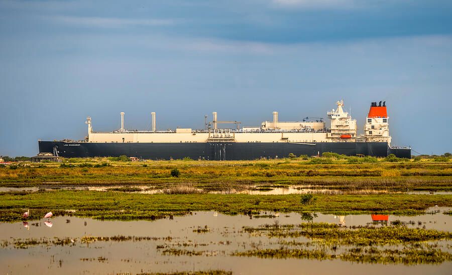 DebraMartz's tweet photo. I'm always looking for ships inbound or outbound in the ship channel while I'm birdwatching at Charlie's Pasture in #PortAransas, #Texas. From the boardwalk, they look even more massive and almost appear to be on land.
https://t.co/cfqMyvn1zC
@debramartz #ship #LNG #Rosenrot https://t.co/w6cJYWG6yA