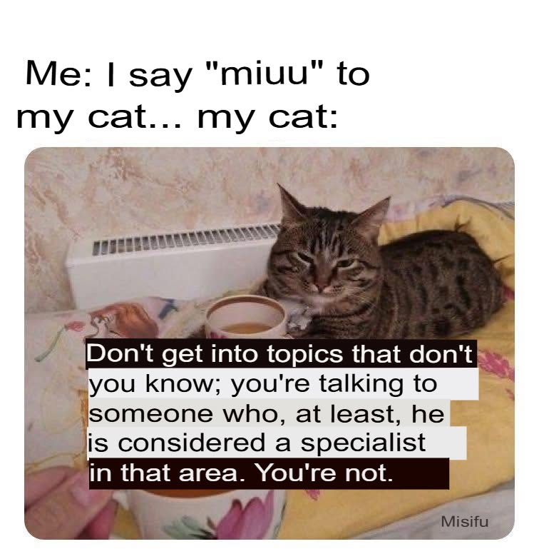 TranslatedCats's tweet photo. https://t.co/ZrJnFryUt6
