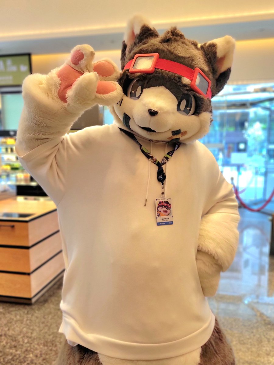 Kokko_kokko919's tweet photo. 初めての生がみけんでした
でっっっっっっ…🫶🫶🫶
#UTFG2026 https://t.co/nkEny2DRTI