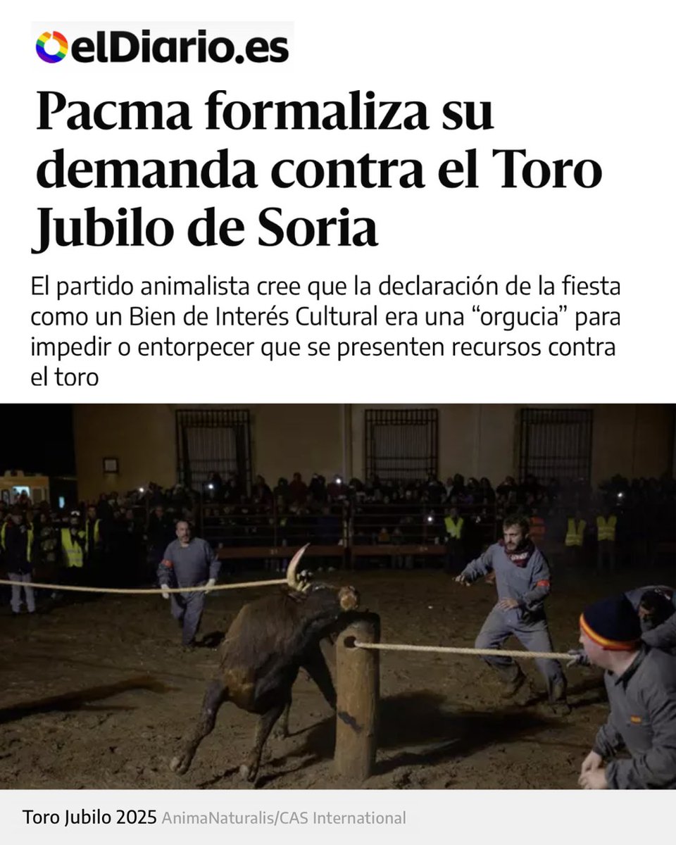 PartidoPACMA's tweet photo. 📃¡Volvemos a presentar una demanda contra el Toro Jubilo de Medinaceli!

🐂🔥Recurrimos el acuerdo ante el alcalde y la autorización ante la Junta de Castilla y León, dado que el festejo es ilegal al carecer de la declaración de “espectáculo taurino tradicional” desde el año 2015, cuando modificaron las bases reguladoras sin seguir el procedimiento legal estipulado.

❌Que lo hayan declarado Bien de Interés Cultural no es más que otra traba que nos ponen, pero la ley es la ley, y el festejo del Toro Jubilo es ilegal. No pararemos hasta que se deje de celebrar definitivamente.

🙌¡Apaguemos el fuego de la tortura!

#ApaguemosElFuegoDeLaTortura #StopFestejosTaurinos #ToroJubilo #ÚneteALaRevoluciónVerde #ÚneteAPACMA