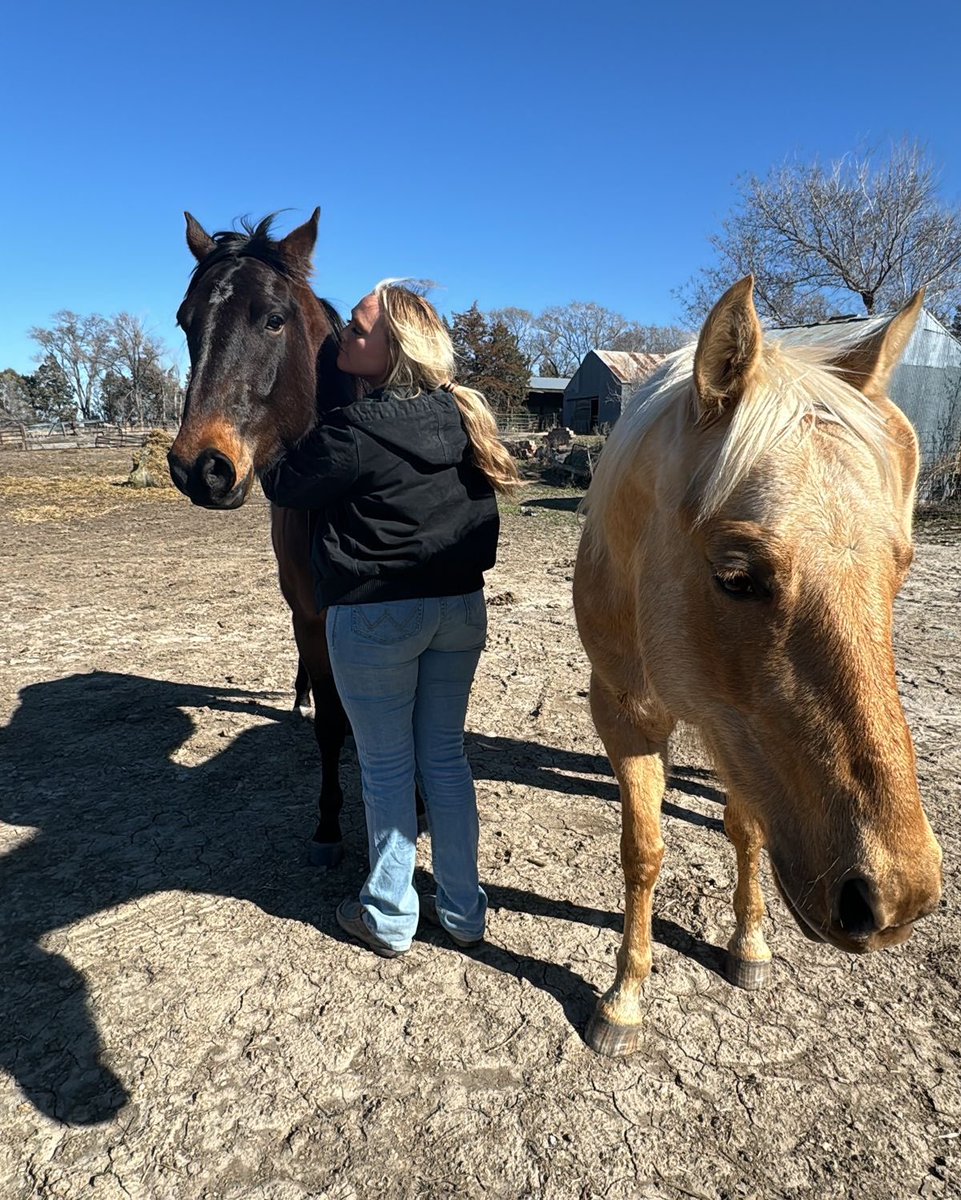 FarmGirl102's tweet photo. Good morning! Smile, breathe, and enjoy every little moment today. ☀️🐴🌾 https://t.co/u2nXFotCQ3