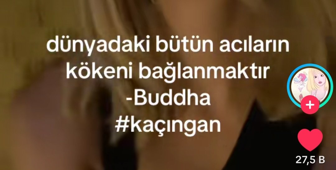 N tweet media