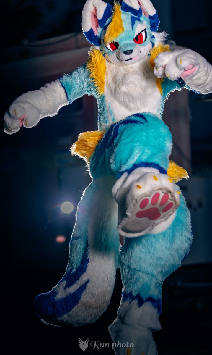 るん (Run)→OFFF (@run_charizard) / Posts / X