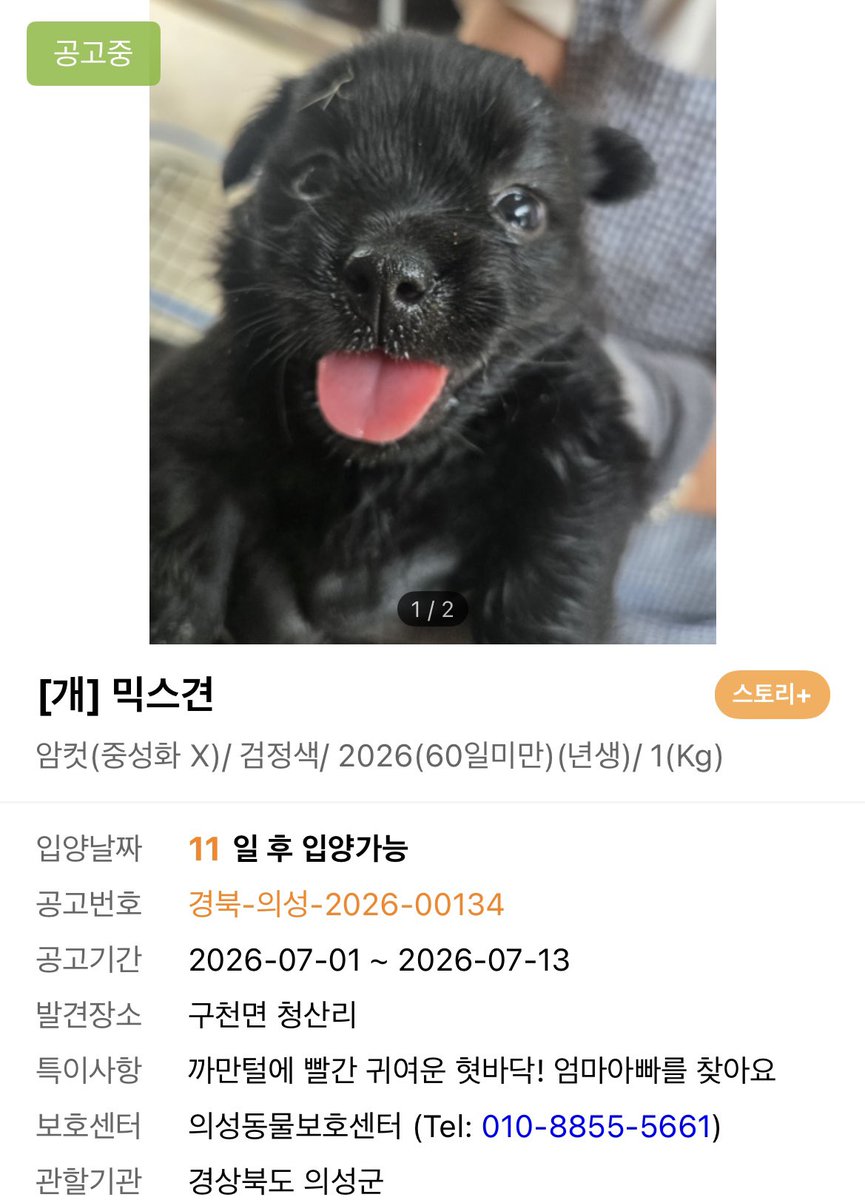 gamjabami's tweet photo. 와....ㅋㅋ첫눈에 반함 혀가 듀에엨ㅋㅋ https://t.co/WQJrastoEz