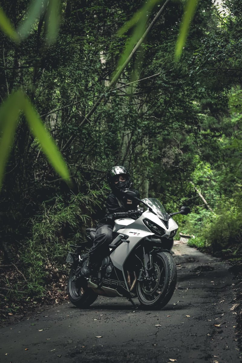 nextgrrider's tweet photo. 2026.7.1

山が涼しい季節( *´꒳`* )

#DAYTONA660 
#TRIUMPH https://t.co/zu5l8wX3dJ