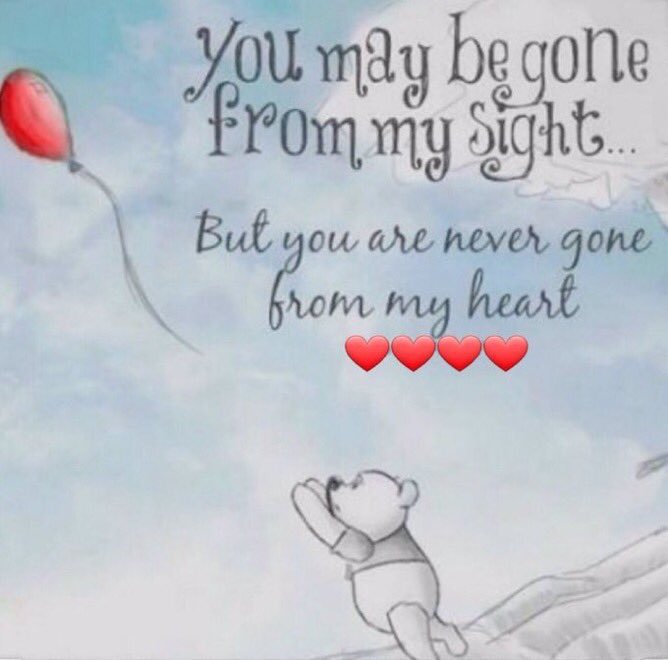 CloudRiderz's tweet photo. 🌈🐾💔 #flybyFriday https://t.co/5DmbsGSUzq