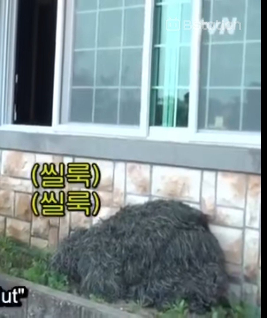 haewookfocus's tweet photo. Kyuhyun is that you?😌 https://t.co/gZMO0qtEq8