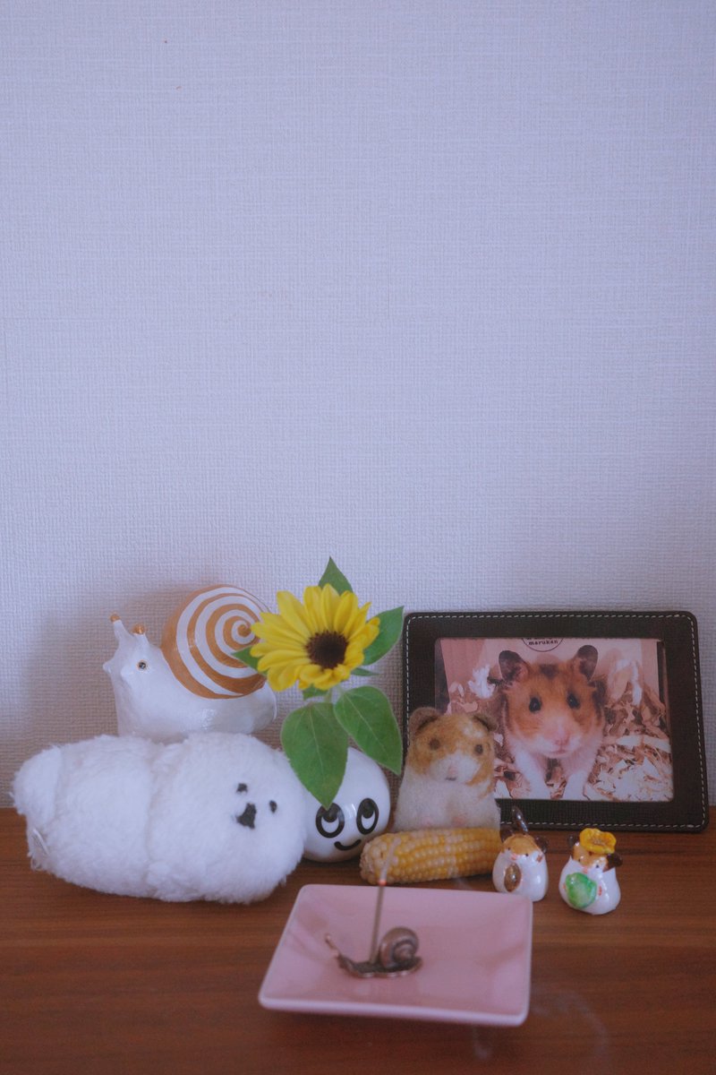 ORIwithMei's tweet photo. https://t.co/H8ubVgaHht