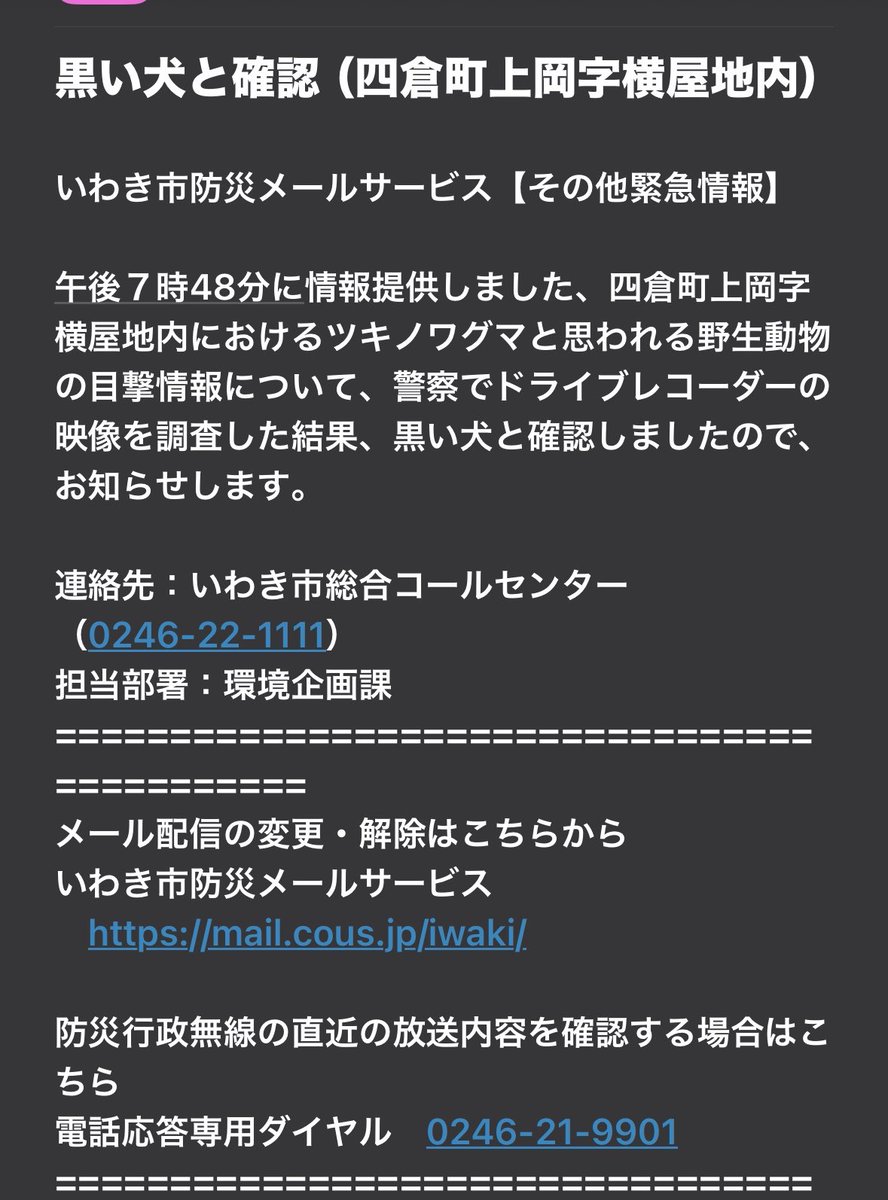 犬だったって😮‍💨