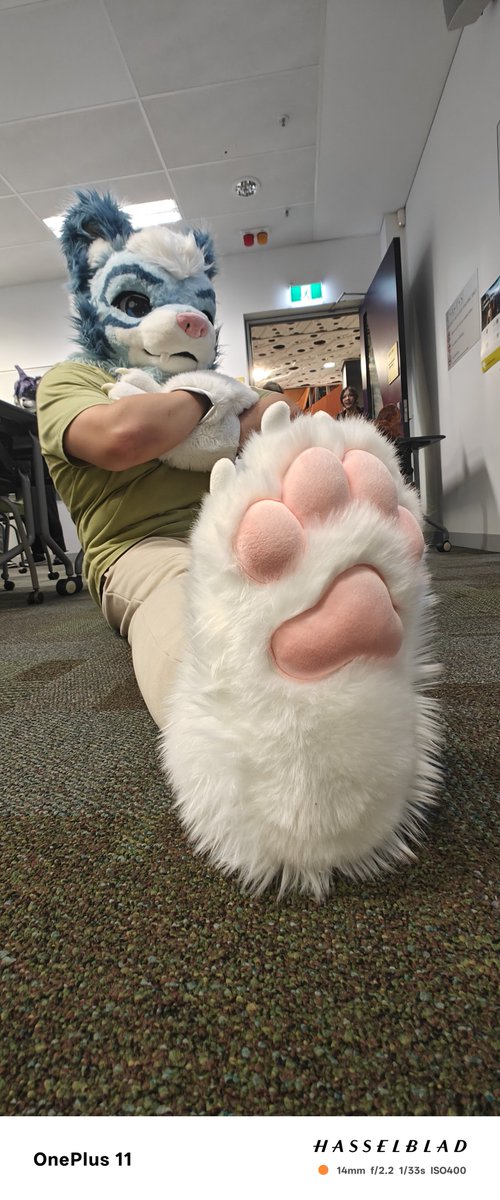 Petdragon4's tweet photo. fursuit Friday？
#fursuit https://t.co/Ti9oPgmYq8