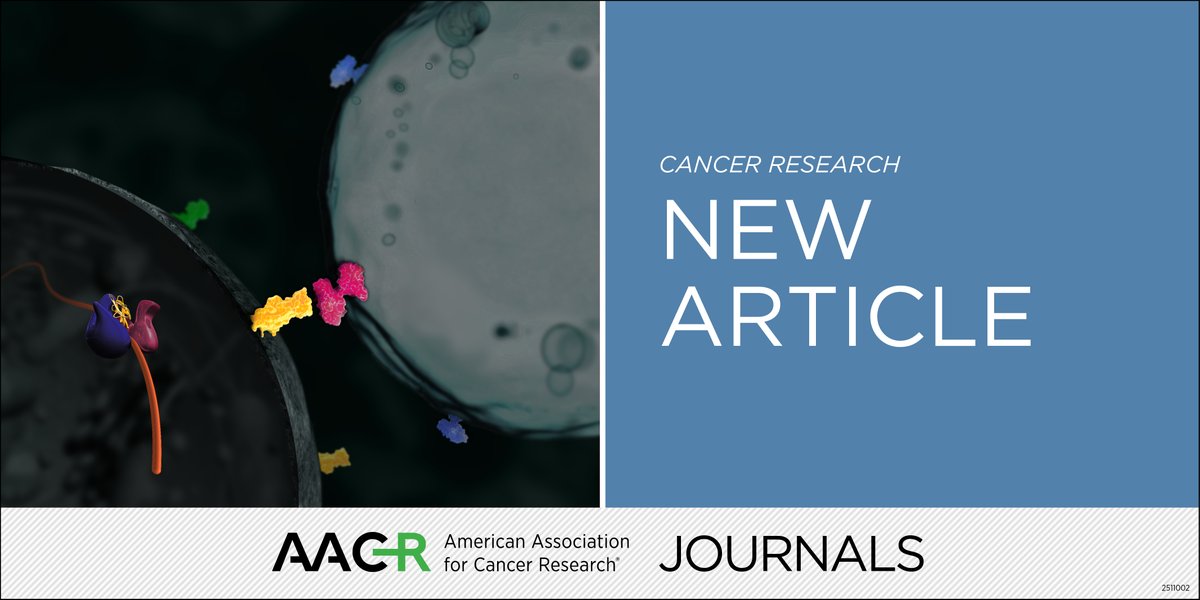 CR_AACR's tweet photo. Now online: CDK2 Inhibition Exerts RB-Independent Antitumor Activity in CDK4/6 Inhibitor-Resistant HR+/HER2- Breast Cancer https://t.co/12dSV9y8Ip https://t.co/NP6wdT9O7I