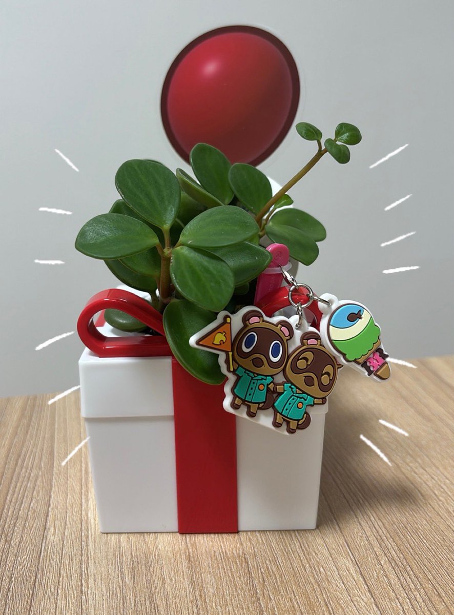 nakyanaruto's tweet photo. 観葉植物入れにピッタリだった🪴✨

 #あつ森 #サーティワン https://t.co/HEE3cVeeVq
