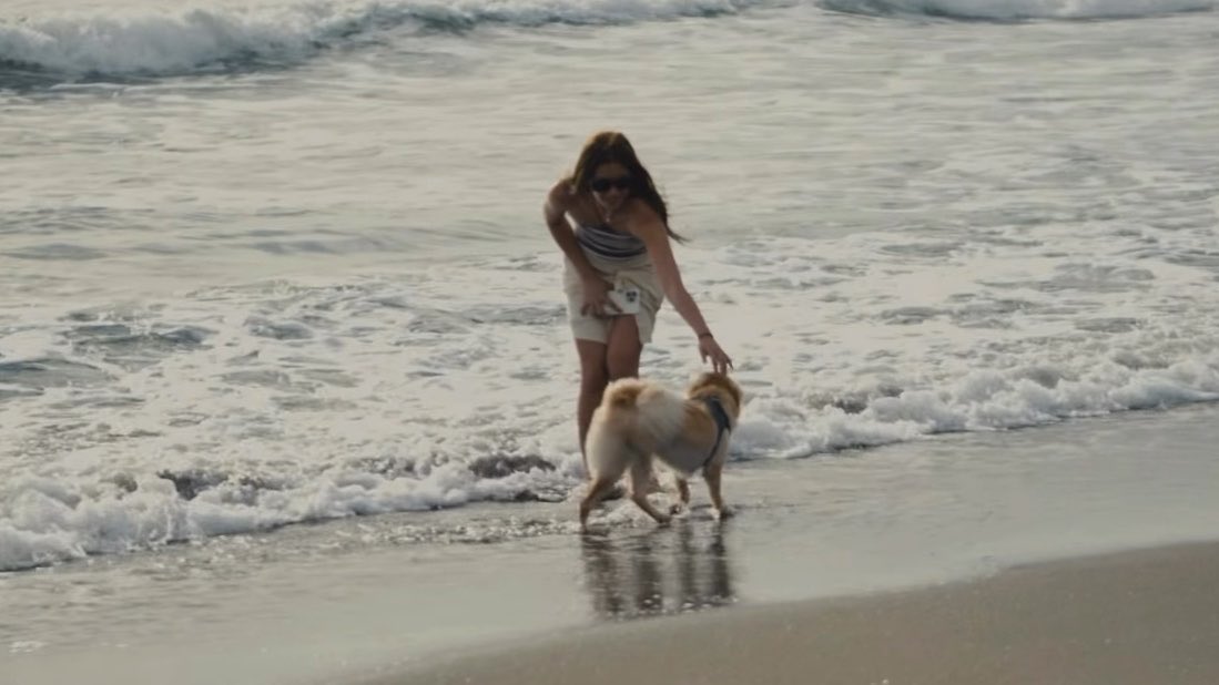 mikhsdaiahry's tweet photo. the way aiah kept smiling while watching honey, making sure to capture every little moment… 🥺🩵 this fur mom and fur baby duo. https://t.co/rQ4xlHhRBw