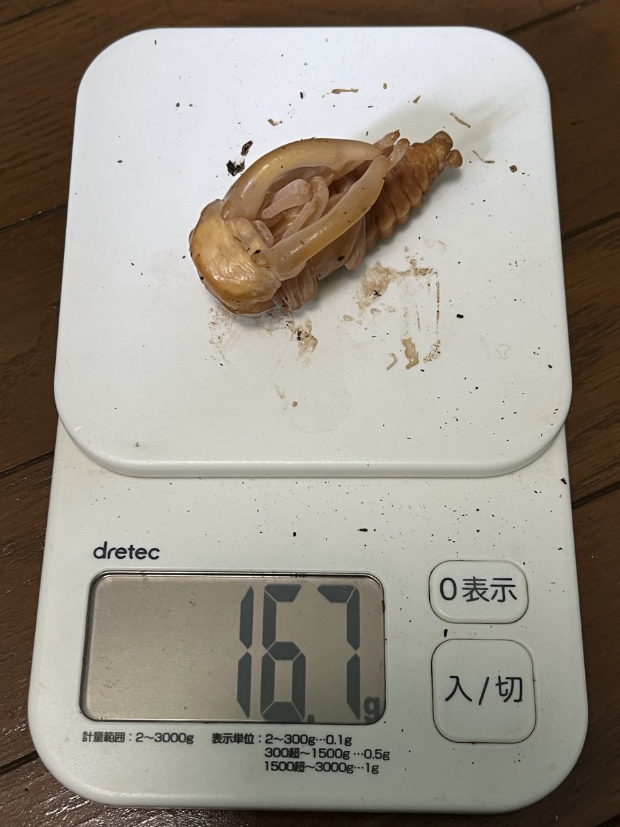 dedenne212's tweet photo. 久々帰宅
バカ還元率ニシで草 https://t.co/UFo5UP1GQV