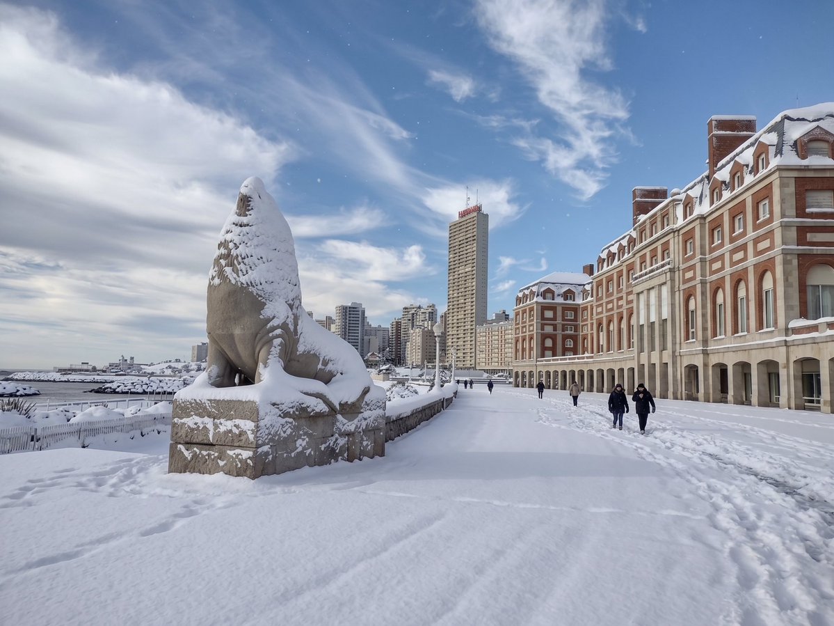 DAN tweet media