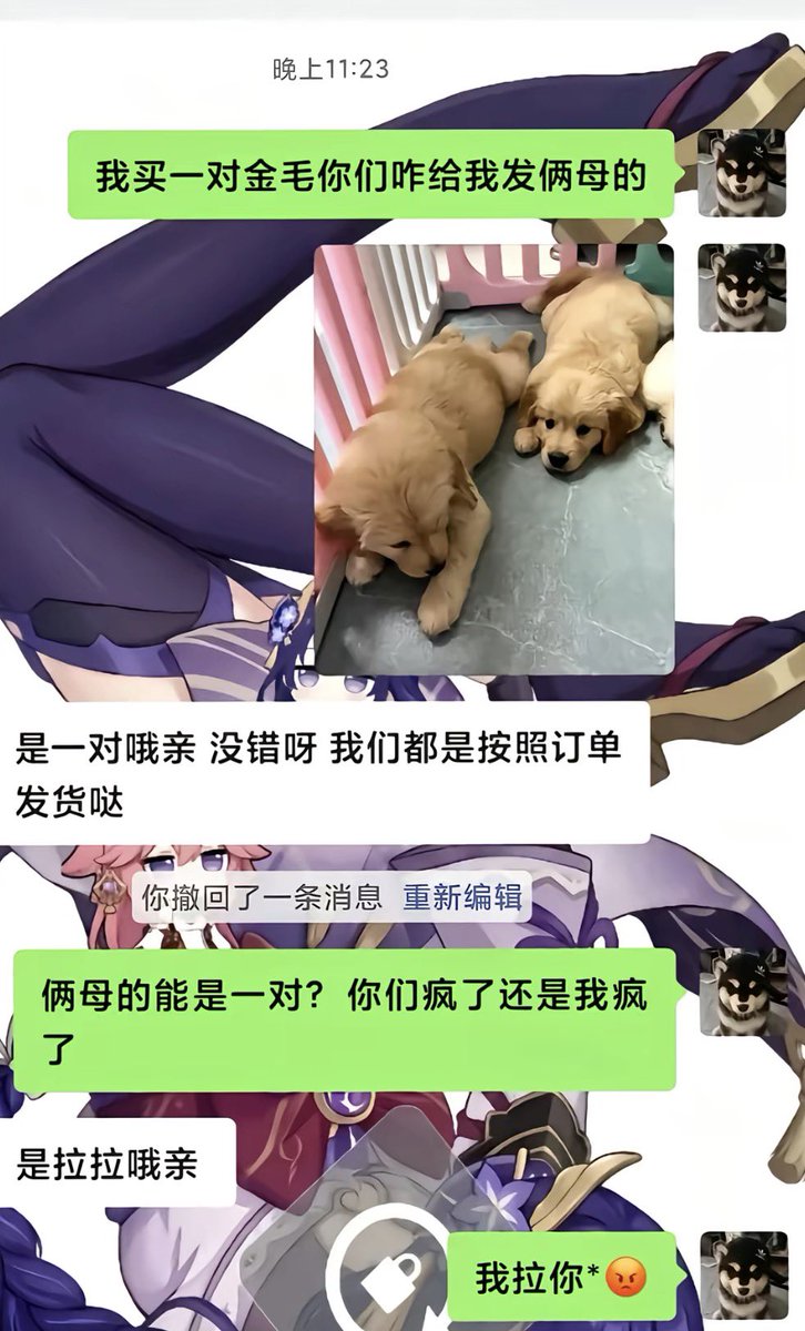 youy1qwq's tweet photo. https://t.co/kJozHxon23