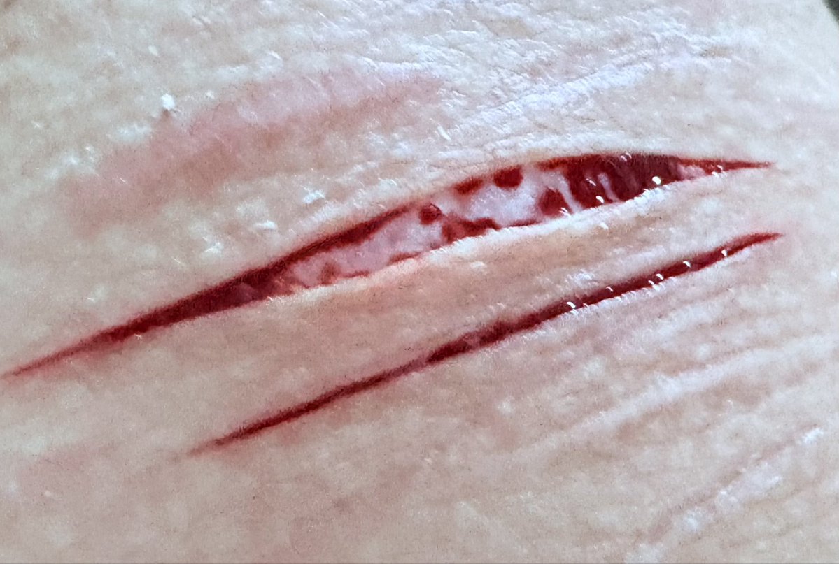 ceraphae's tweet photo. uughwbsh wish i could do more than this and go deeper but i get no privacy and if i get caught im fucked 

all fake sfx makeup

♡

#shedtwt #slittwt https://t.co/QDQzC3tdr0