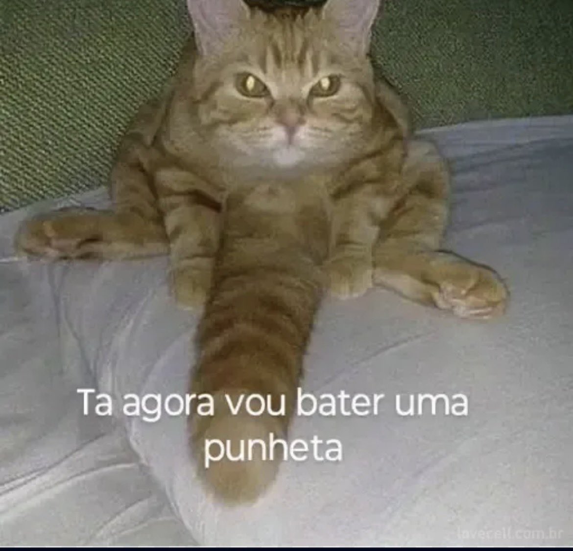 Belzeb0's tweet photo. @mxcasp Eu vou fazer isso e ninguém vai me impedir https://t.co/LTgrFOwUUr
