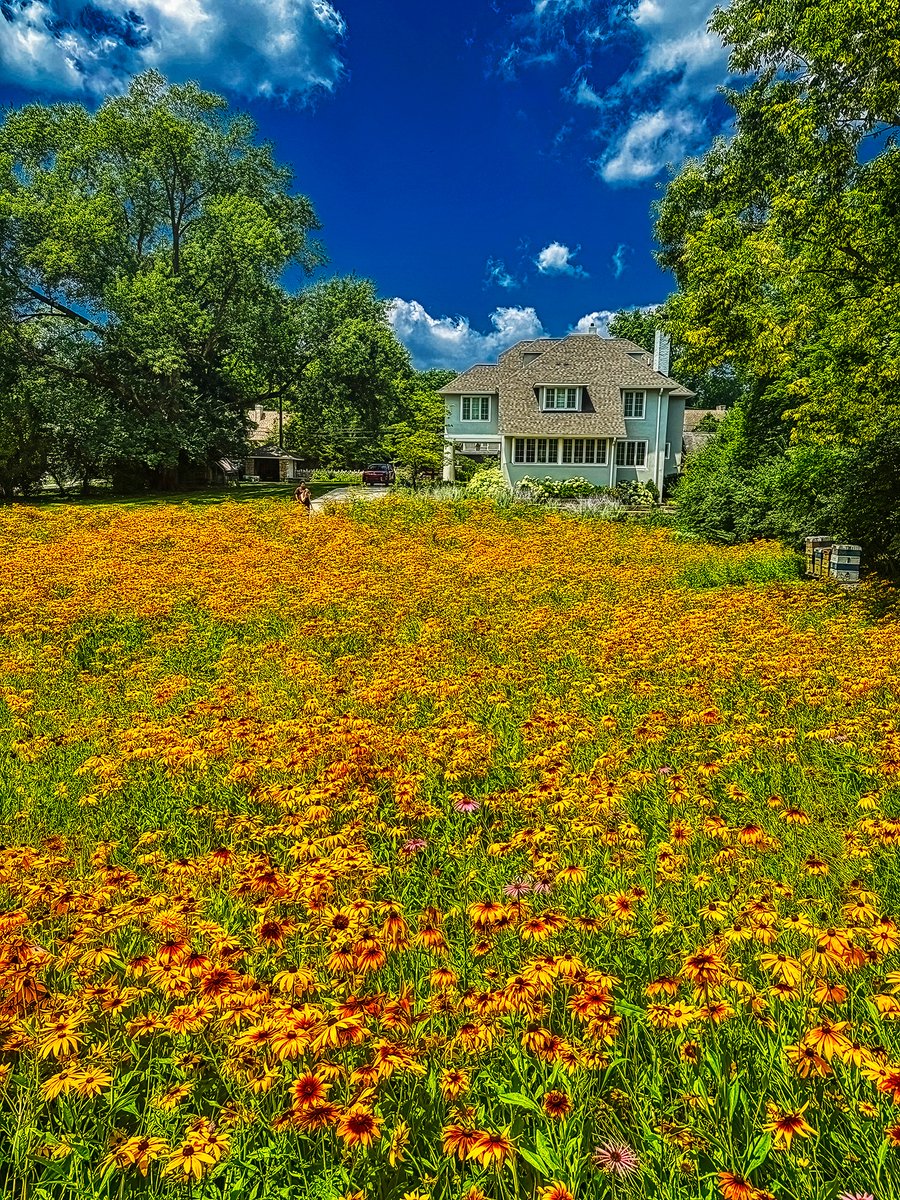photilator's tweet photo. Bexley, Ohio. Photo, yesterday by L. Hamill. FYI Class of 68, this is the house Bob Forman grew up in. https://t.co/gyGCz2kAz3