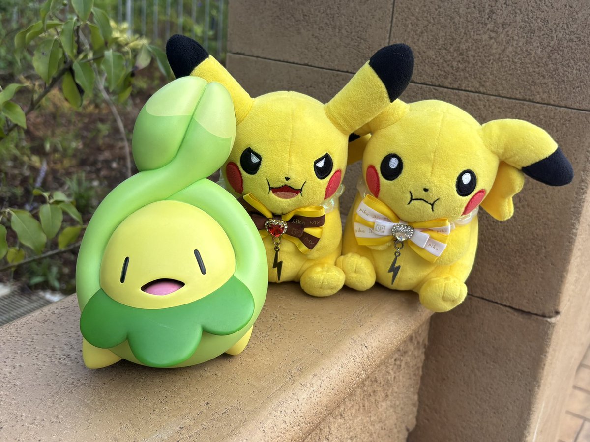 pikapati25's tweet photo. 今回はマイピカちゃん達も
一緒にポケパークきたよ🎶 https://t.co/7ZU5qh5qdk