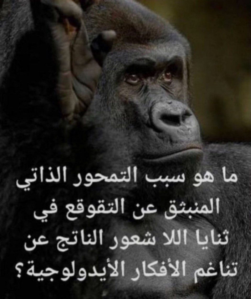 luffymboo's tweet photo. حقين هنتر https://t.co/ieVcOTCD9i
