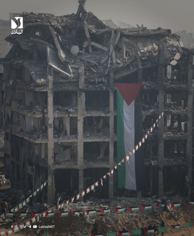 optimist_012's tweet photo. 1000 days of Al-Aqsa Flood. 
Gaza teaches patience to the world. 
Courage to the fearful. 
Faith to the doubtful. 
Victory to the patient.
#1000DaysToAlAqsaFlood https://t.co/zMA2usykJf