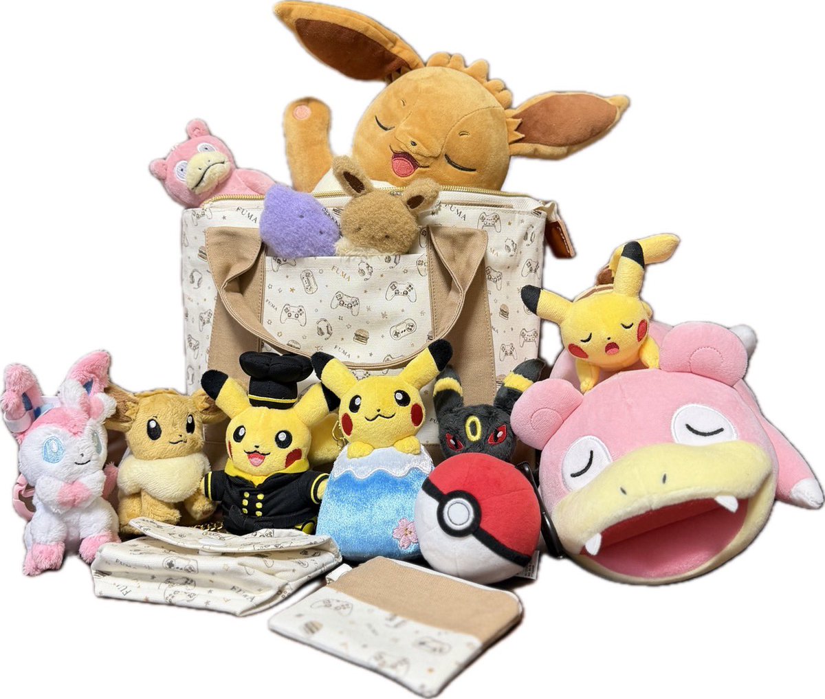 lune06_29's tweet photo. きぽんちゃんのFUMAセンイルソンムル企画に当選👏
うちのポケモン大集合させて共に撮影会してみた😘
凄すぎてびっくりのクオリティ✨
ありがたく使わせていただきます🫶
きぽんちゃんありがとー！！

#FUMAセンイルソンムル企画
#andTEAM_FUMA https://t.co/wIII29m6lL