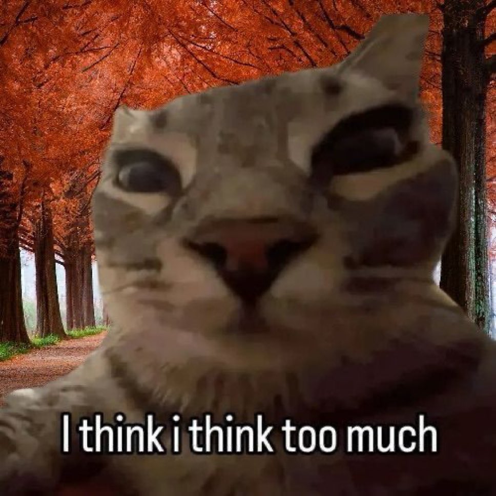literallymecats's tweet photo. https://t.co/j4pqxOOphI