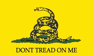 OnlineFreeUSA's tweet photo. TOMORROW!!

July 4 Day Of Independence from #FlockSafety NATIONWIDE!!  

Brits in UK wreck spy cameras these ways:

SPRAY PAINT lenses!!

BAG over camera head!!

BURN camera head w/gasoline!!

MANY NEWS STORIES ON THIS!!

TAPE also works!! 

RETWEET!! https://t.co/XvfauZelL5