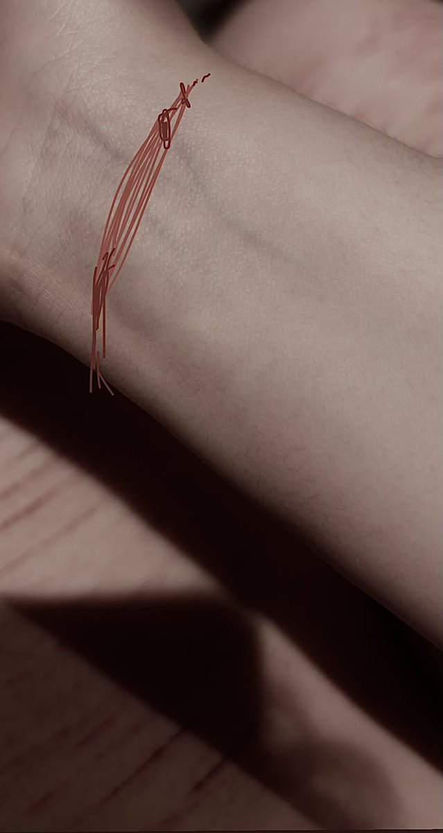 mxonzen's tweet photo. does anyone ever wanna just like,,,
it looks tempting </3

#shtwt #cut https://t.co/ArG1x0zhuy