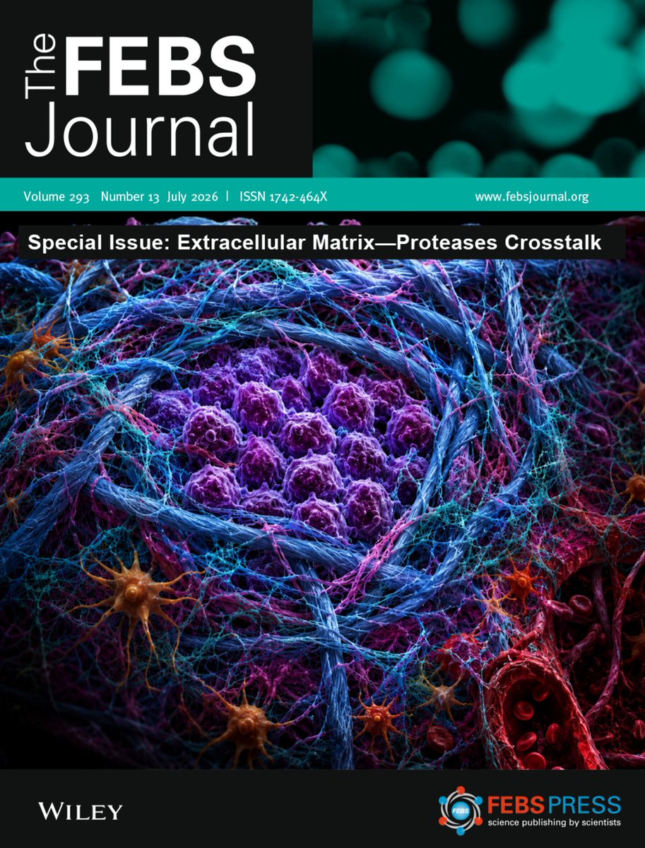 The FEBS Journal tweet media