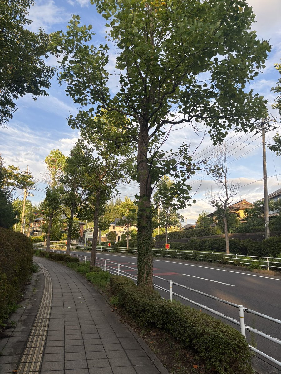 nantoru's tweet photo. 陽が傾く時間帯 https://t.co/sroVtRG6HK