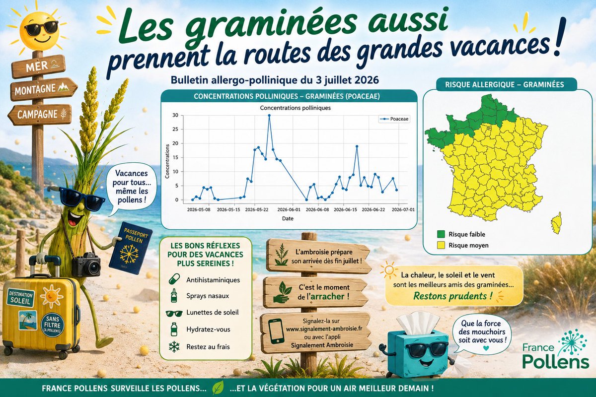 FrancePollens's tweet photo. 🌾Les graminées prennent elles aussi la route des grandes vacances… mais elles ne sont pas encore parties ! 😅
La bonne nouvelle 🎉 : les deux principaux pics polliniques de la saison sont désormais derrière nous. Le risque allergique sera faible à moyen.
#pollens https://t.co/U8nk9smscT