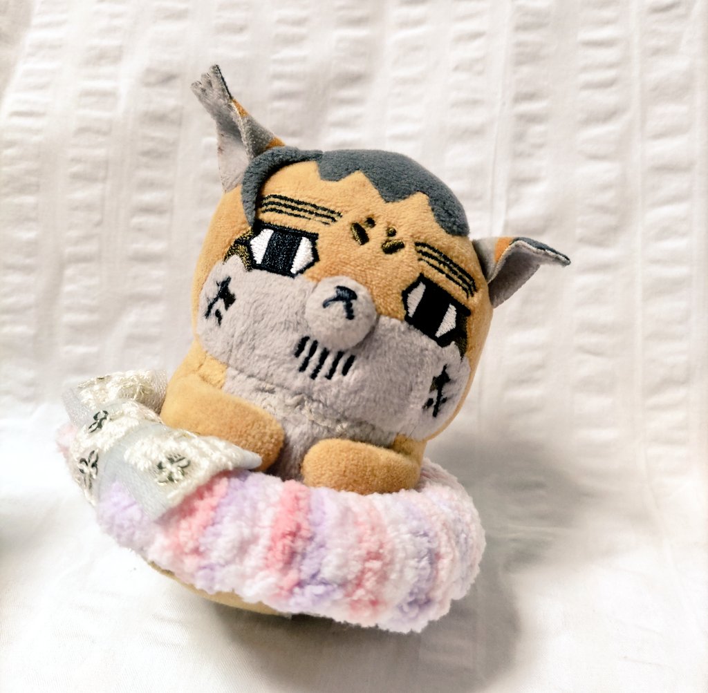 まー🐈‍⬛次10月 tweet media