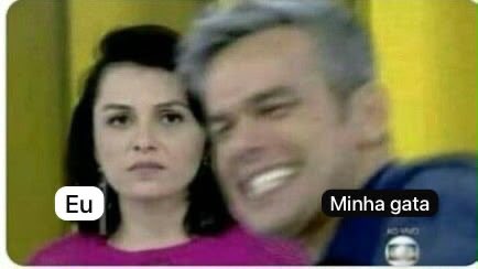 julia_katycats's tweet photo. Anteontem a CEO brigou cmg pq achou cotonete em algum lugar aleatório da casa. Eu falei que não tinha sido eu, daí ela me olhou com cara de cínica e soltou um “ Então fui eu?” …. Ficou aquele silêncio mortal, pq pra bom entendedor uma pergunta basta. 

Daí  ONTEM eu achei outro cotonete do lado dela da cama. Kkkkkkkkk aí eu não ia perder minha oportunidade, né? Fui lá  ser canceriana rancorosa. Porém ela negou e ficou me olhando tipo… “Vai dizer que estou mentindo??” 

ME CALEI. ( Pois quem te uc tem medo)

Depois de dois dias de trocas ferrenhas de acusações, HOJE, eu escovando os dentes minha gata me pediu colo. Pois bem, eu toda fofa 🥰 falando com ela ATÉ QUE…. Pasmem, ela pulou do meu colo, abriu o potinho de cotonete, pegou um e saiu correndo. 🤡

Assim. Simples. Na minha frente.

Dois dias perdendo pra CEO e tomando esculacho pq??? Pq a ratazana de esgoto que é a minha gata é cleptomaníaca.

Moral da história: filhos testam a 
comunicação dos pais. #ficaadica

E por hoje é só pessoal.