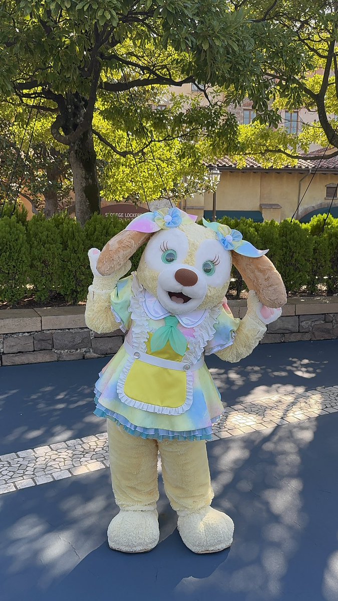Va_mp18y's tweet photo. はぴば！くきあん！！！
最高に可愛いアンちゃの誕生日めでたいめでたい😇😇

この1年間もいっぱいみんなでわいわい幸せに！！🐶💛💛 https://t.co/jSOl0G370C