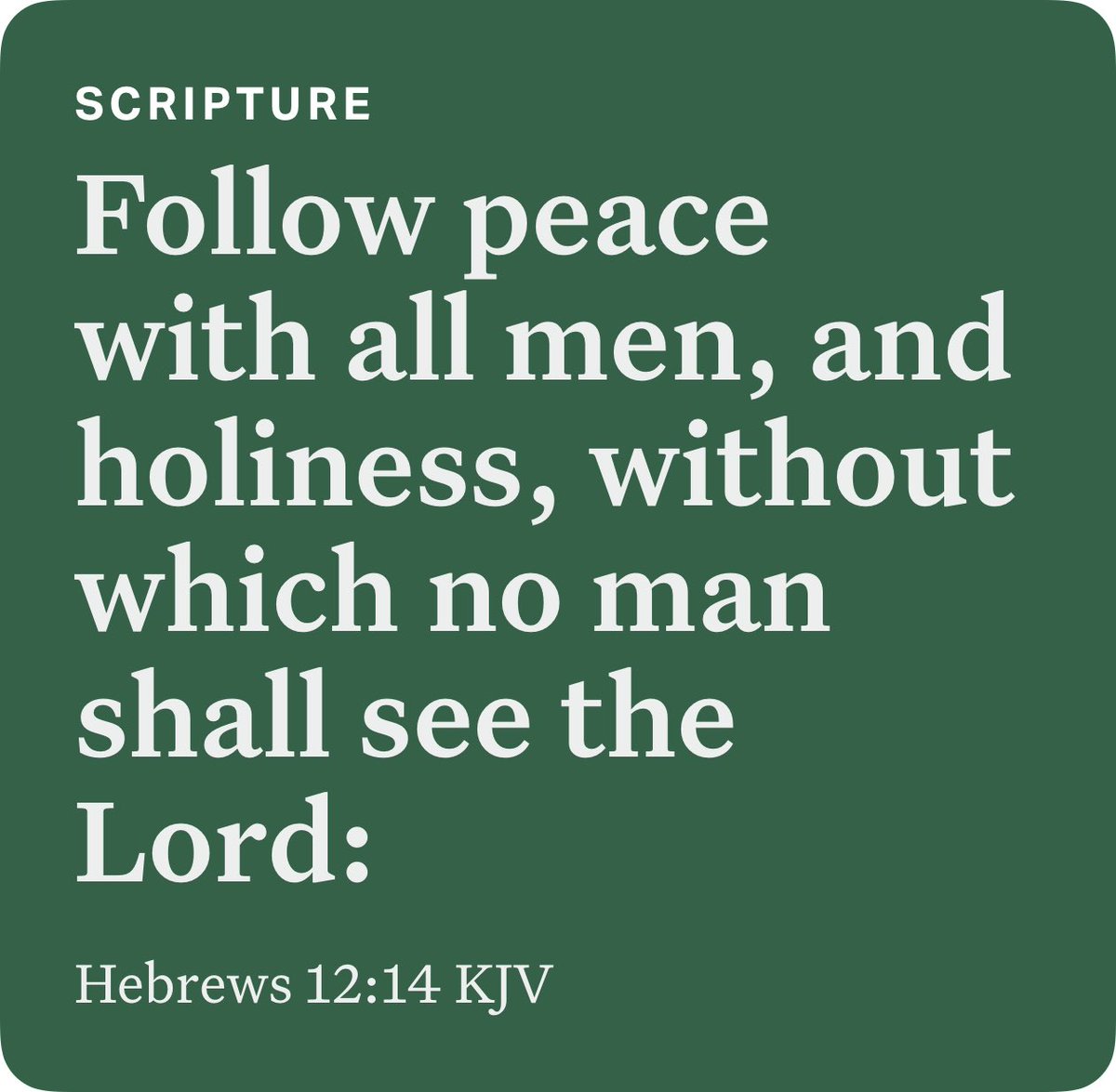 Talley1222's tweet photo. Hebrews 12:14 KJV https://t.co/ExZm1JhEmo https://t.co/CetyXMJUmo
