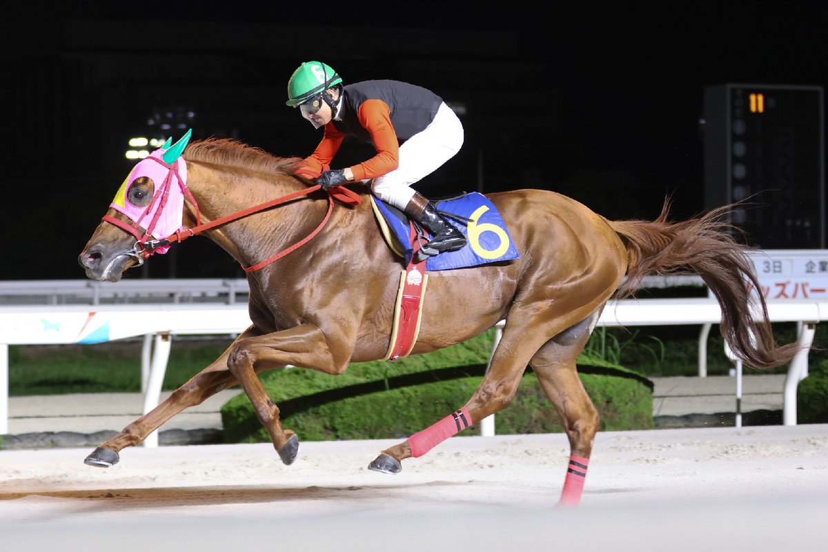 helios_07's tweet photo. 園田競馬 第11競争
オッズパーク杯

🥇 マルカイグアス
🥈 フラフ
🥉 ドンカポノ

マルカイグアスが昨年の姫山菊花賞以来の勝利👍
久々にマルカイグアスの走り、レースに勝つ瞬間を目の前で見れたのは何より嬉しい☺️ https://t.co/oRh8TZB9UV
