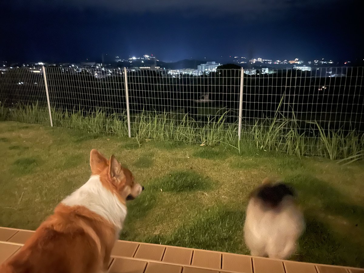Hypernova00's tweet photo. 白浜。
外湯強力。 https://t.co/poI4lOXXVk