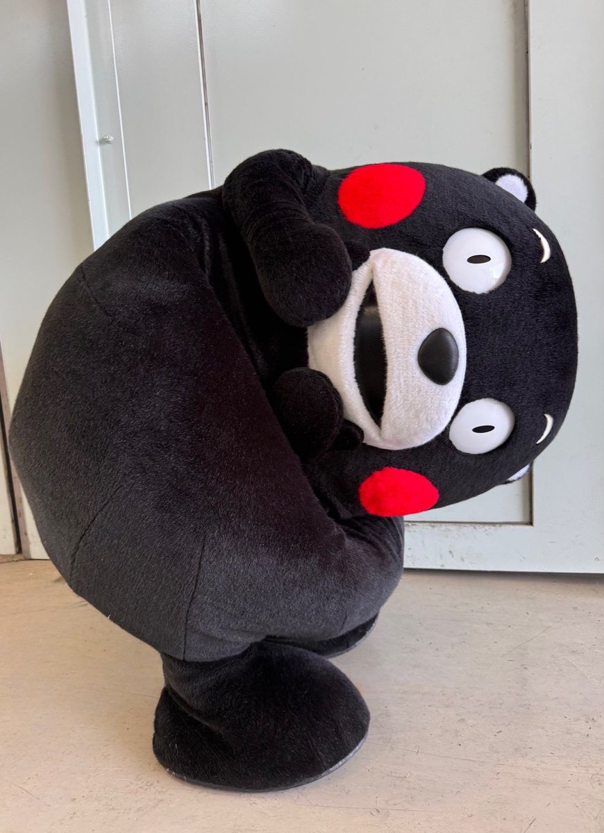 55_kumamon's tweet photo. おはくま〜！早起きはモンモンモンの徳だモン！ https://t.co/bYsEZKstrL