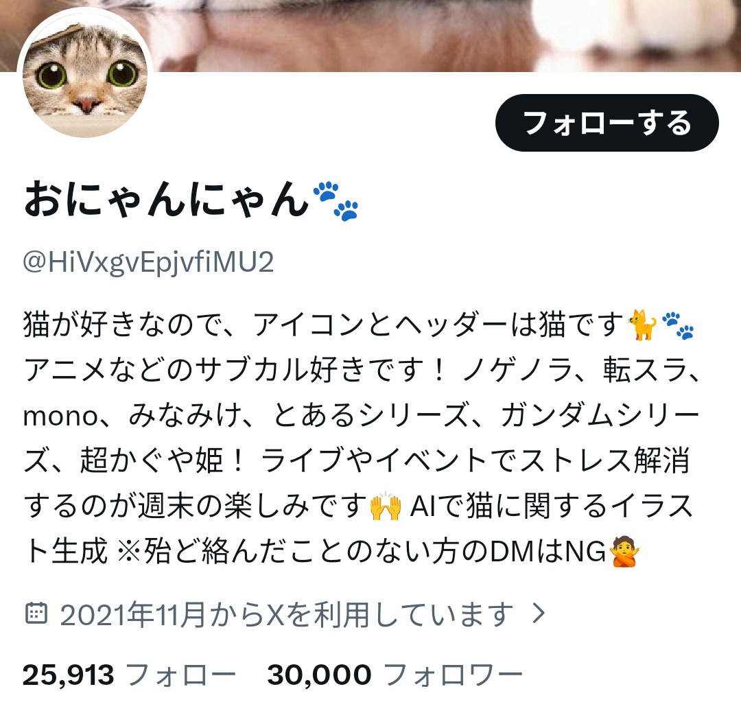 おにゃんにゃん🐾 tweet media