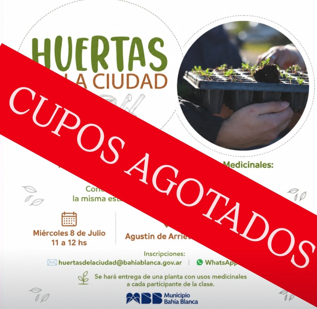 Val_Fabian's tweet photo. ¡Gracias por el enorme interés! 🙌🌱
La convocatoria para la #Masterclass sobre PLANTAS AROMATICAS🌼 y MEDICINALES🌿 superó todas nuestras expectativas y los cupos se agotaron rápidamente.
Por eso, para que nadie se quede afuera, vamos a repetir esta capacitación el miércoles 15/7 a las 11:00 hs., brindando una nueva oportunidad para quienes no pudieron inscribirse.
¡Gracias por acompañar, por el compromiso y por seguir apostando a la capacitación y al trabajo en comunidad!💚🌿
#HuertasDeLaCiudad🍅🥦🌼 del @MunicipioBahia
