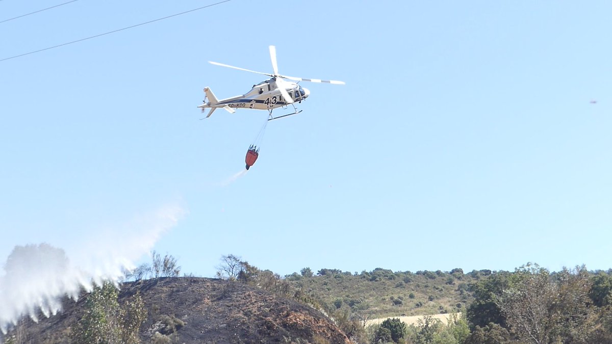 CANALGUNOTICIAS's tweet photo. 328 hectáreas se queman en el incendio forestal de Robledillo @Plan_INFOCAM @JCCMGuadalajara @Malagadelfresno @Aytoalbatages #IFRobledillodeMohernando
https://t.co/RUcySiMt33 https://t.co/K6SaccYWdY