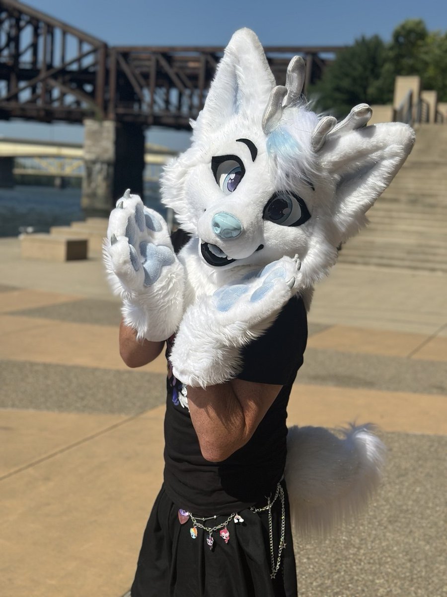 SaberStripes's tweet photo. Deer by the waterfront! https://t.co/RL7UFuHOyd
