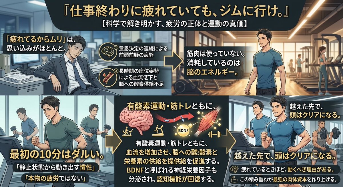 usk_menshack's tweet photo. 仕事終わりに疲れていても、ジムに行け。

「疲れてるからムリ」は、思い込みがほとんど。

①意思決定の連続による前頭前野の疲弊
②長時間の座位姿勢による血流低下と脳への酸素供給不足

筋肉は使っていない。
消耗しているのは脳のエネルギー。

こういうときこそ運動が効く。

有酸素運動・筋トレともに、血流を増加させ、脳への酸素と栄養素の供給を促進する。BDNFと呼ばれる神経栄養因子も分泌され、認知機能が回復する。

最初の10分はダルい。それは本物の疲労ではなく、静止状態から動き出す慣性に過ぎない。

越えた先で、頭はクリアになる。

疲れているときほど、動くべき理由がある。

そして、この積み重ねが最強の肉体資本を作り上げる。