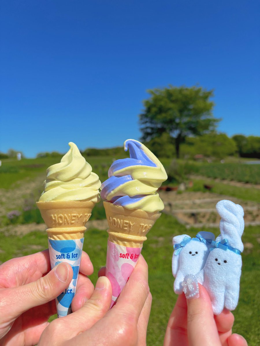 null_yuuu's tweet photo. #ソフトクリームの日　
ラベンダーソフト🪻カモミールソフト🌼と
ソフトクリームの妖精ぬいたち🍦🍦💜💛 https://t.co/dfYFKnaKdj
