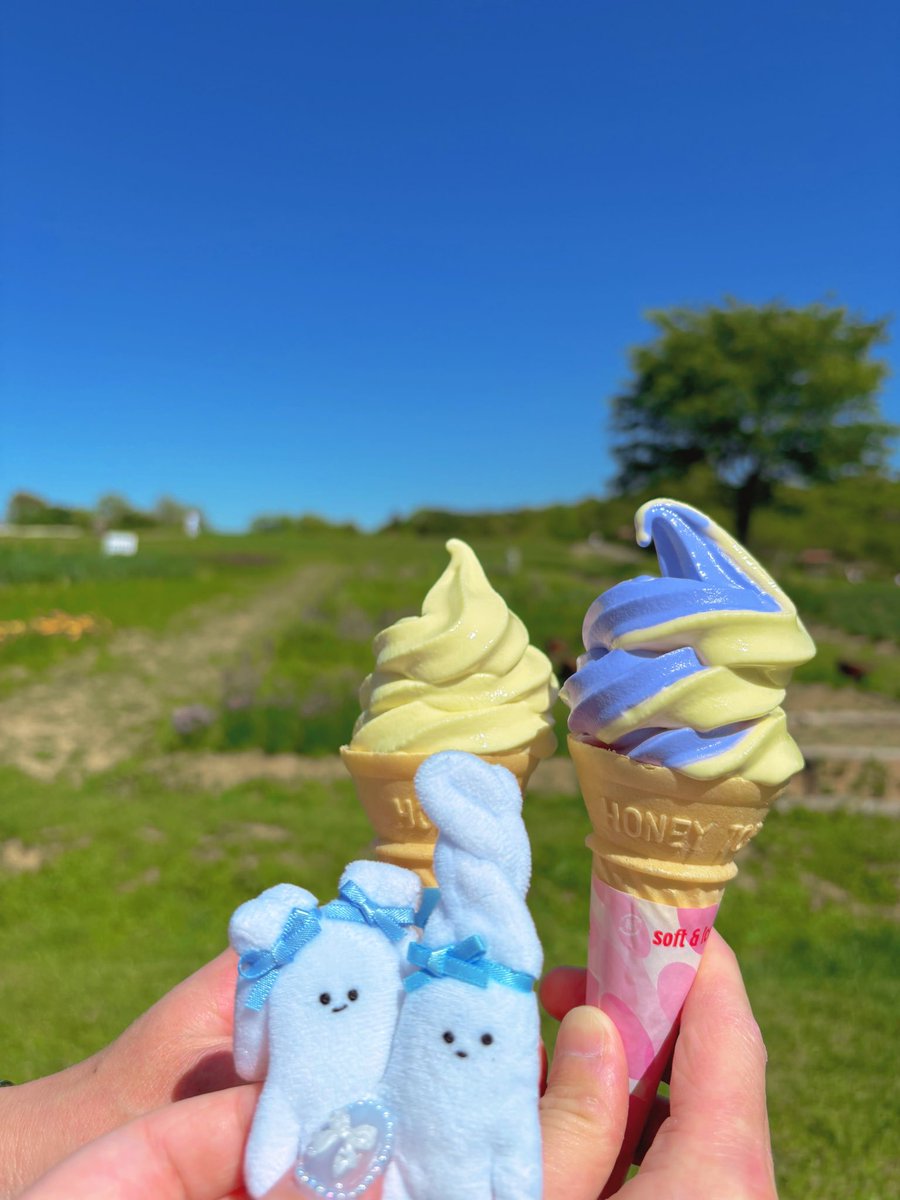 null_yuuu's tweet photo. #ソフトクリームの日　
ラベンダーソフト🪻カモミールソフト🌼と
ソフトクリームの妖精ぬいたち🍦🍦💜💛 https://t.co/dfYFKnaKdj