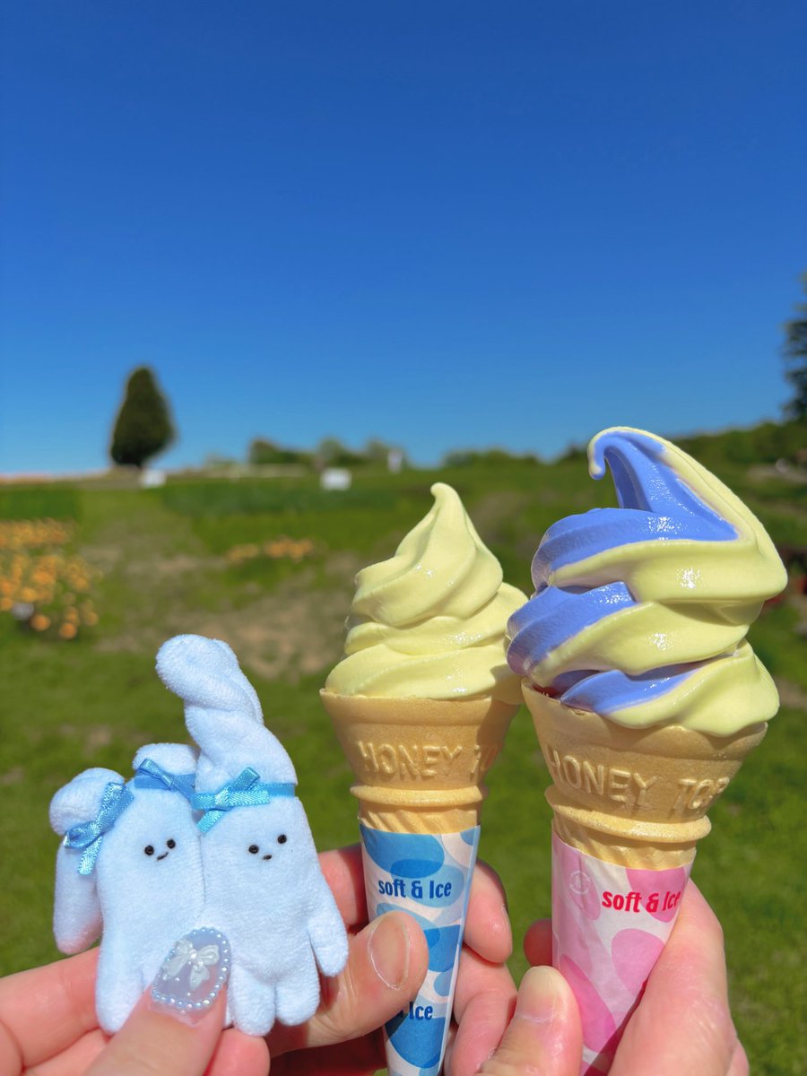 null_yuuu's tweet photo. #ソフトクリームの日　
ラベンダーソフト🪻カモミールソフト🌼と
ソフトクリームの妖精ぬいたち🍦🍦💜💛 https://t.co/dfYFKnaKdj